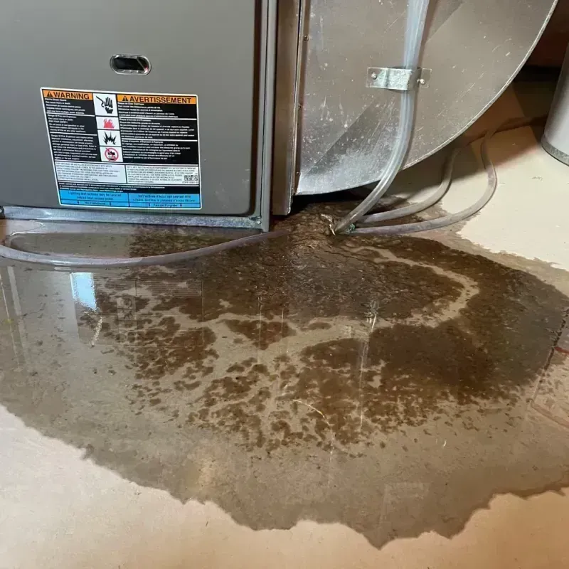 Appliance Leak Cleanup in Macon County, IL